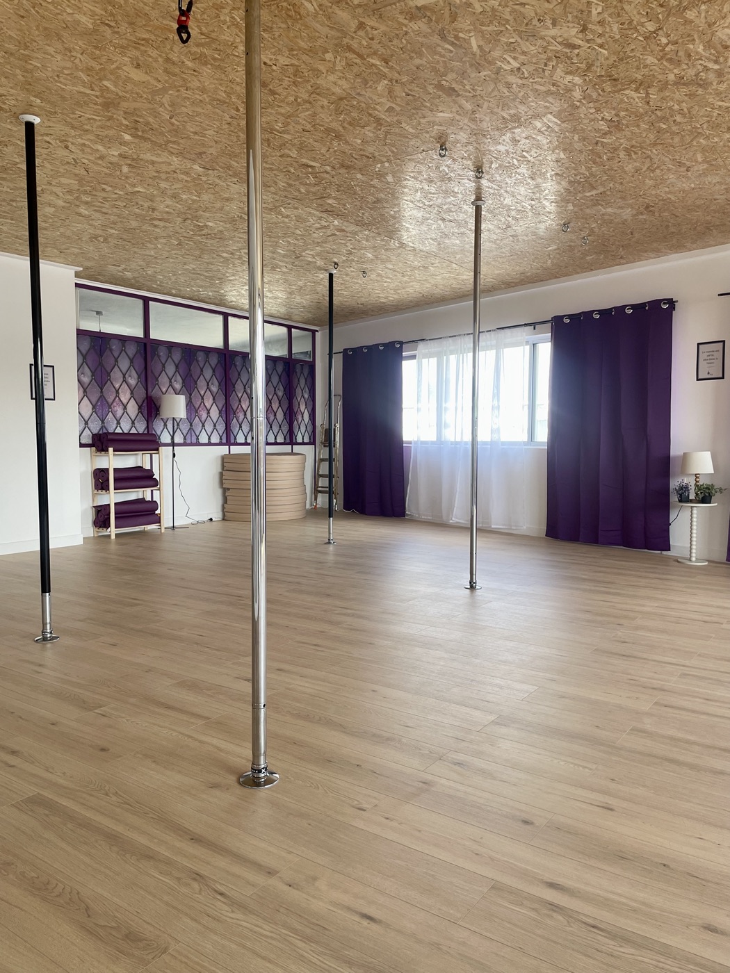 La salle de Pole Dance du studio Yely in the Air